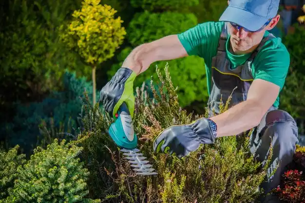 landscaping services Uplands Park
